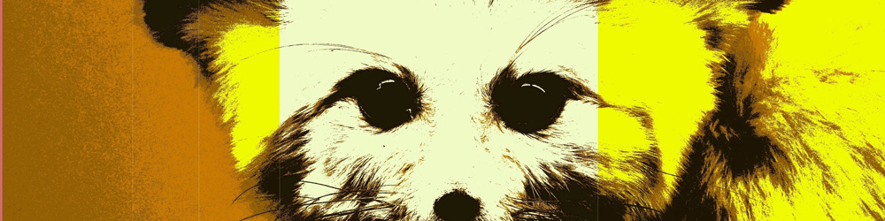 Les Z 'animaux de Godi